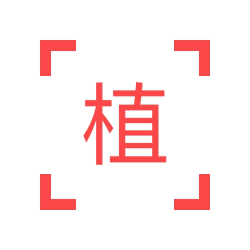 植发