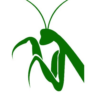 螳螂觀察